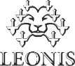 Leonis интерьерный салон