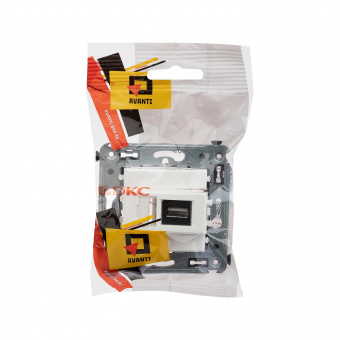 DKC Avanti Белое облако Розетка одинарная тип А-А USB 2.0