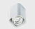 Светильник потолочный ITALLINE 5641 white