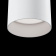 Накладной светильник Maytoni Alfa C010CL-01W