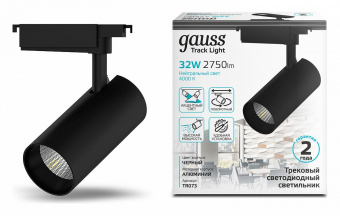 Светильник на штанге Gauss TR TR073