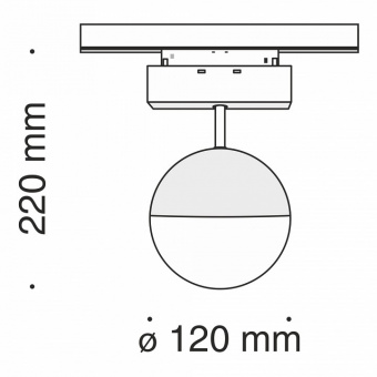 Светильник на штанге Maytoni Track lamps TR017-2-10W3K-B