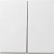 Gira E2, Esprit, Event, Standard 55 Клавиши двойные IP44 Белый матовый  026627