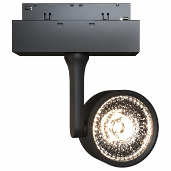 Светильник на штанге Maytoni Track lamps 3 TR024-2-10B4K