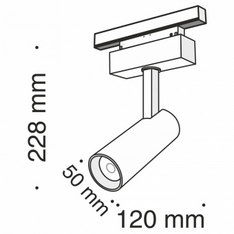 Светильник на штанге Maytoni Track lamps TR019-2-10W3K-B