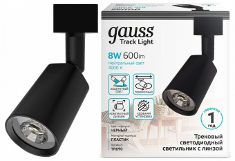 Светильник на штанге Gauss TR090 TR090
