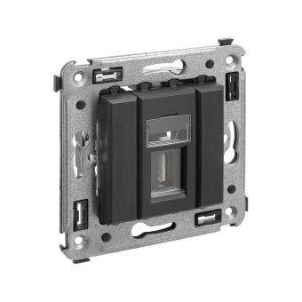 DKC Avanti Черный матовый Розетка одинарная тип А-А USB 2.0