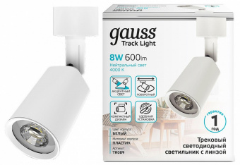 Светильник на штанге Gauss TR090 TR089