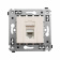 DKC Avanti Ванильная дымка Компьютерная розетка RJ-45 один  категория  6А