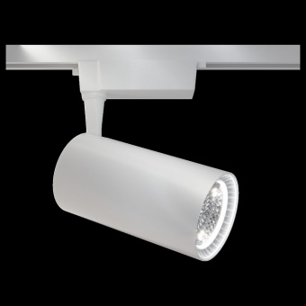 Светильник на штанге Maytoni Track lamps TR003-1-40W3K-W