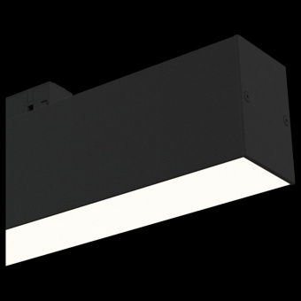 Накладной светильник Maytoni Track lamps TR012-2-12W4K-B