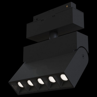 Светильник на штанге Maytoni Track lamps TR015-2-10W3K-B
