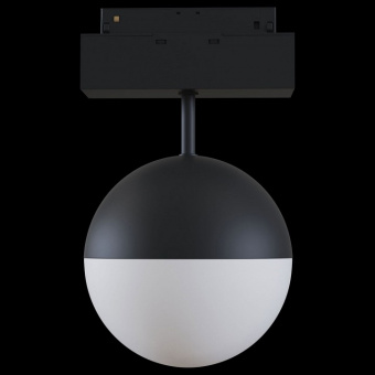 Светильник на штанге Maytoni Track lamps TR017-2-10W3K-B